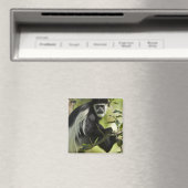 Aimant Colobe noir et blanc (In Situ (Lave-vaisselle))