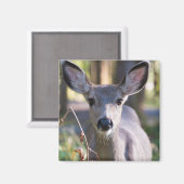 Aimant Colombien Doe à queue noire | État de Washington (Recto/Verso)