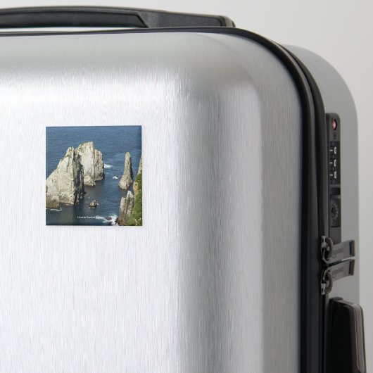 Aimant Colonies d'oiseaux marins Chowiet, Alaska (In Situ (Bagages))