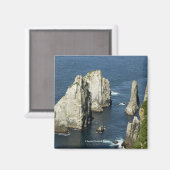 Aimant Colonies d'oiseaux marins Chowiet, Alaska (Recto/Verso)