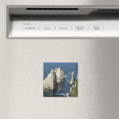 Aimant Colonies d'oiseaux marins Chowiet, Alaska (In Situ (Lave-vaisselle))