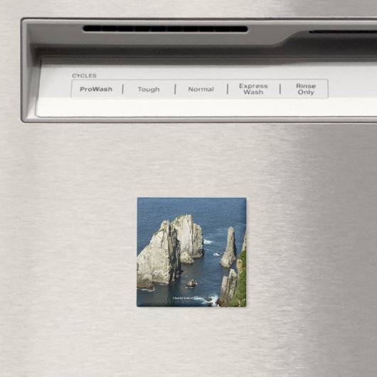 Aimant Colonies d'oiseaux marins Chowiet, Alaska (In Situ (Lave-vaisselle))