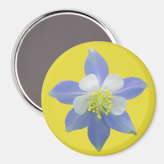 Aimant Colonne 2 (Recto/Verso)