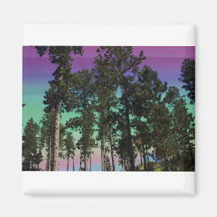 Aimant coloré d'arbre
