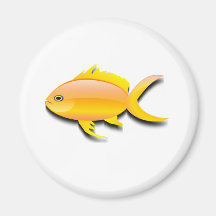 Aimant coloré pour la conception du poisson