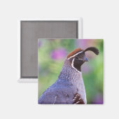 Aimant Colorful Quail (Recto/Verso)