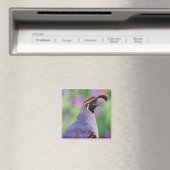 Aimant Colorful Quail (In Situ (Lave-vaisselle))