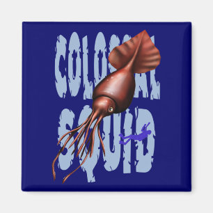 Aimant colossal de calmar