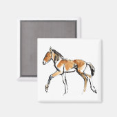 Aimant Colt (Recto/Verso)