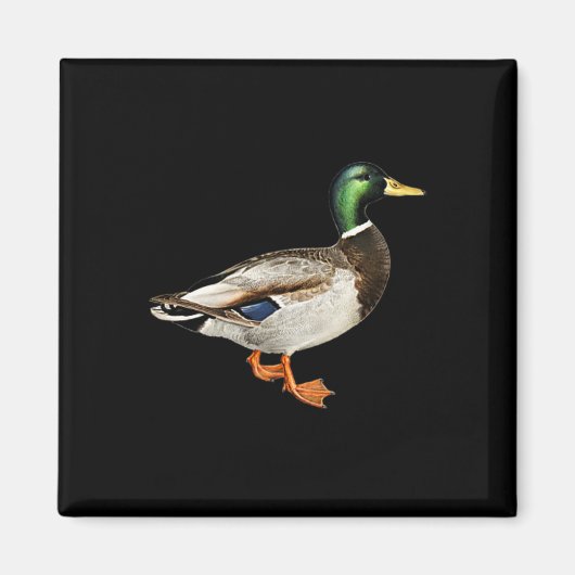 Aimant Colvert Canard Colvert Logo de poche Canards colve (Devant)