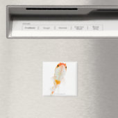 Aimant Comète / Poisson rouge à queue comète (In Situ (Lave-vaisselle))