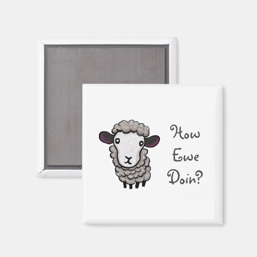 Aimant Comment Est-Ce Que Nous Faisons ? (Recto/Verso)