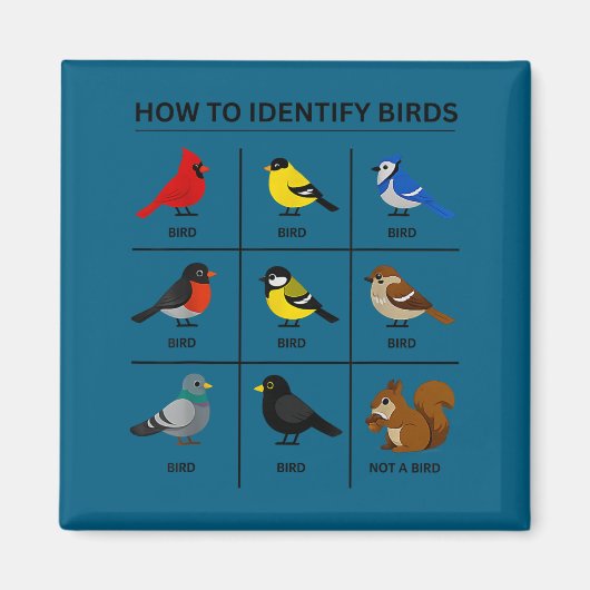Aimant Comment identifier un oiseau drôle ornithologie mi (Devant)