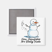 Aimant Comment les flocons de neige sont vraiment faits B (Recto/Verso)