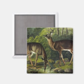 Aimant Common Deer (Recto/Verso)