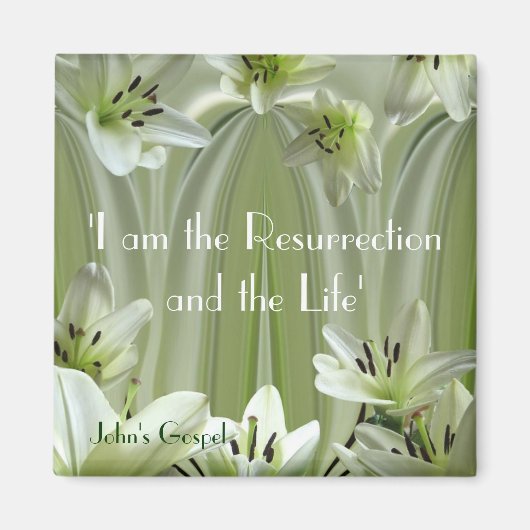 Aimant Composition de la litière (Devant)