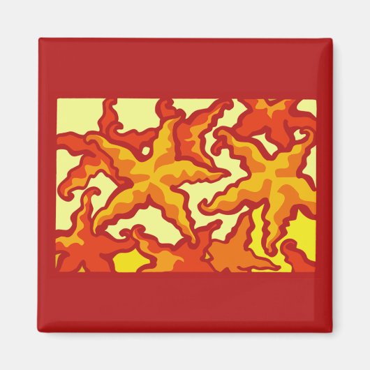 Aimant Composition de l'étoile (Devant)