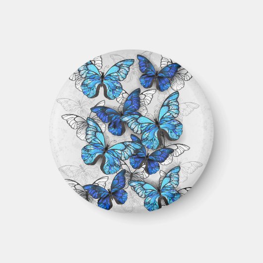 Aimant Composition de papillons blancs et bleus (Devant)