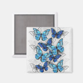 Aimant Composition des White and Blue Butterflies (Recto/Verso)
