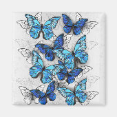Aimant Composition des White and Blue Butterflies (Devant)