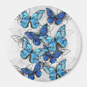 Aimant Composition des White and Blue Butterflies