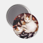 Aimant Comprendre l'aimant des chats (Recto/Verso)