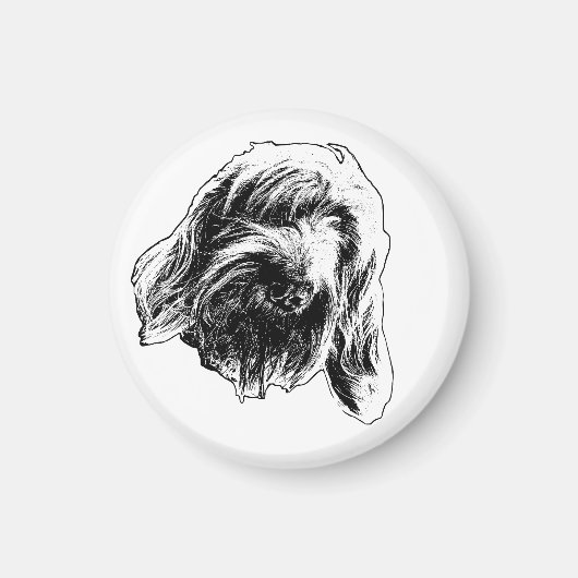Aimant Compteur chaud Spinone (Devant)