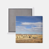 Aimant Comté de Crook, Hay Bales (Recto/Verso)