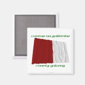 Aimant Comté de Galway (Recto/Verso)