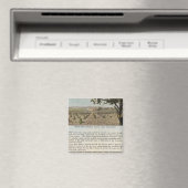 Aimant Comté de Verso Alameda (In Situ (Lave-vaisselle))