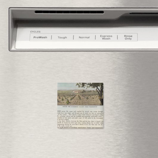 Aimant Comté de Verso Alameda (In Situ (Lave-vaisselle))