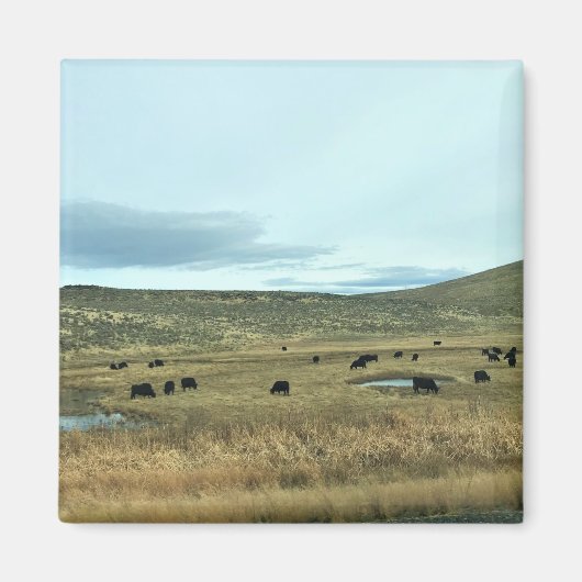 Aimant Comté Rural de Baker, Oregon (Devant)