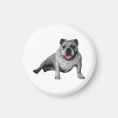 Aimant Conception Bulldog avec détails rouges (Devant)
