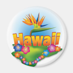 Aimant Conception d'aimant d'Hawaï