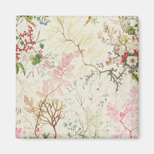 Aimant Conception d'algues pour le matériel de soie (p/c  (Devant)