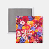 Aimant Conception de fleurs de Dahlia, lis orientaux, (Recto/Verso)