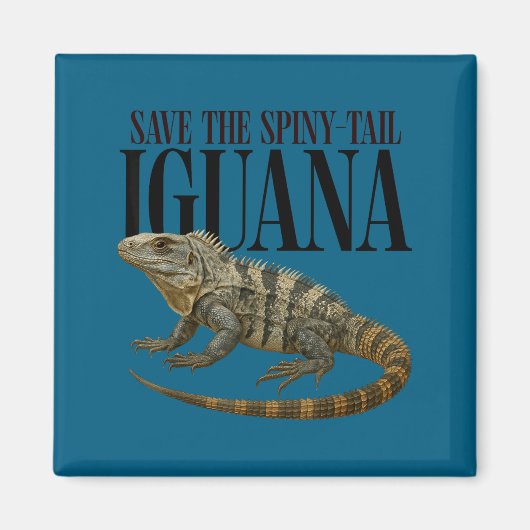 Aimant Conception de reptile d'iguane à queue épineuse à (Devant)