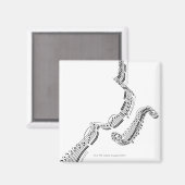 Aimant Concerto pour violon Beethovens (Recto/Verso)