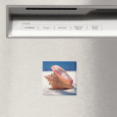 Aimant Conch Shell (In Situ (Lave-vaisselle))