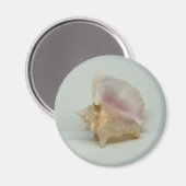 Aimant CONCH SHELL (rond) (Recto/Verso)