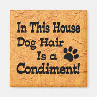 Condiment de poils de chien