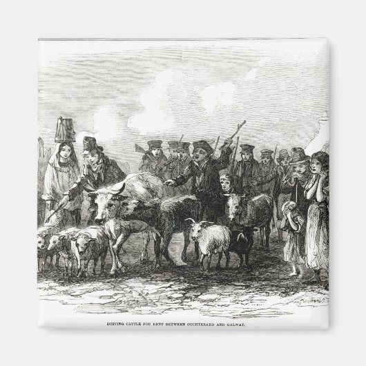 Aimant Conduite de bétail à louer (Devant)