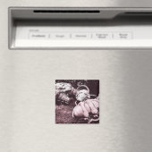 Aimant cônes de crème glacée d'été en fibre de verre (In Situ (Lave-vaisselle))