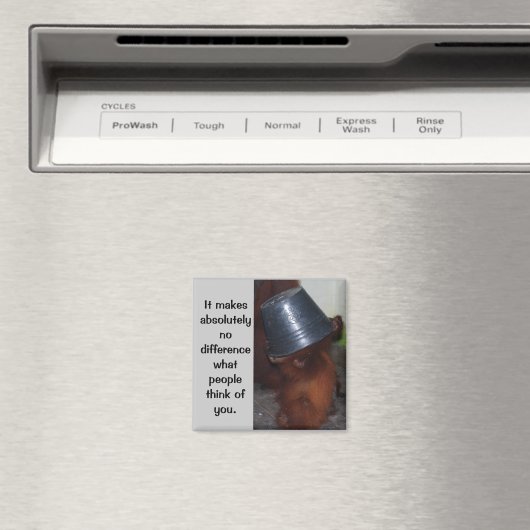 Aimant Confiance en soi et fierté (In Situ (Lave-vaisselle))