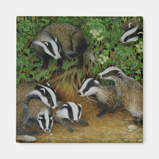 Aimant Configuration (Devant)