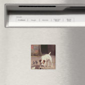 Aimant Confrontation (In Situ (Lave-vaisselle))