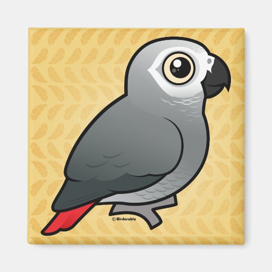 Aimant Congo African Grey (Devant)