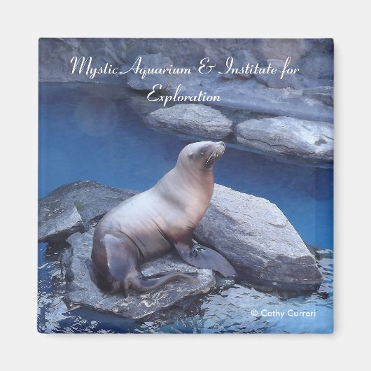 Aimant Connecteur (Devant)