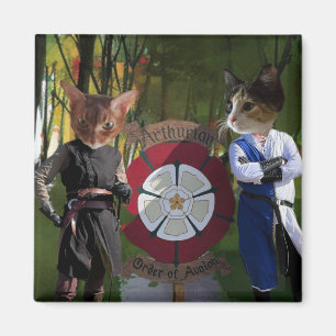 Aimant Connexion française AOA