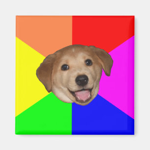 Aimant Conseil Chien